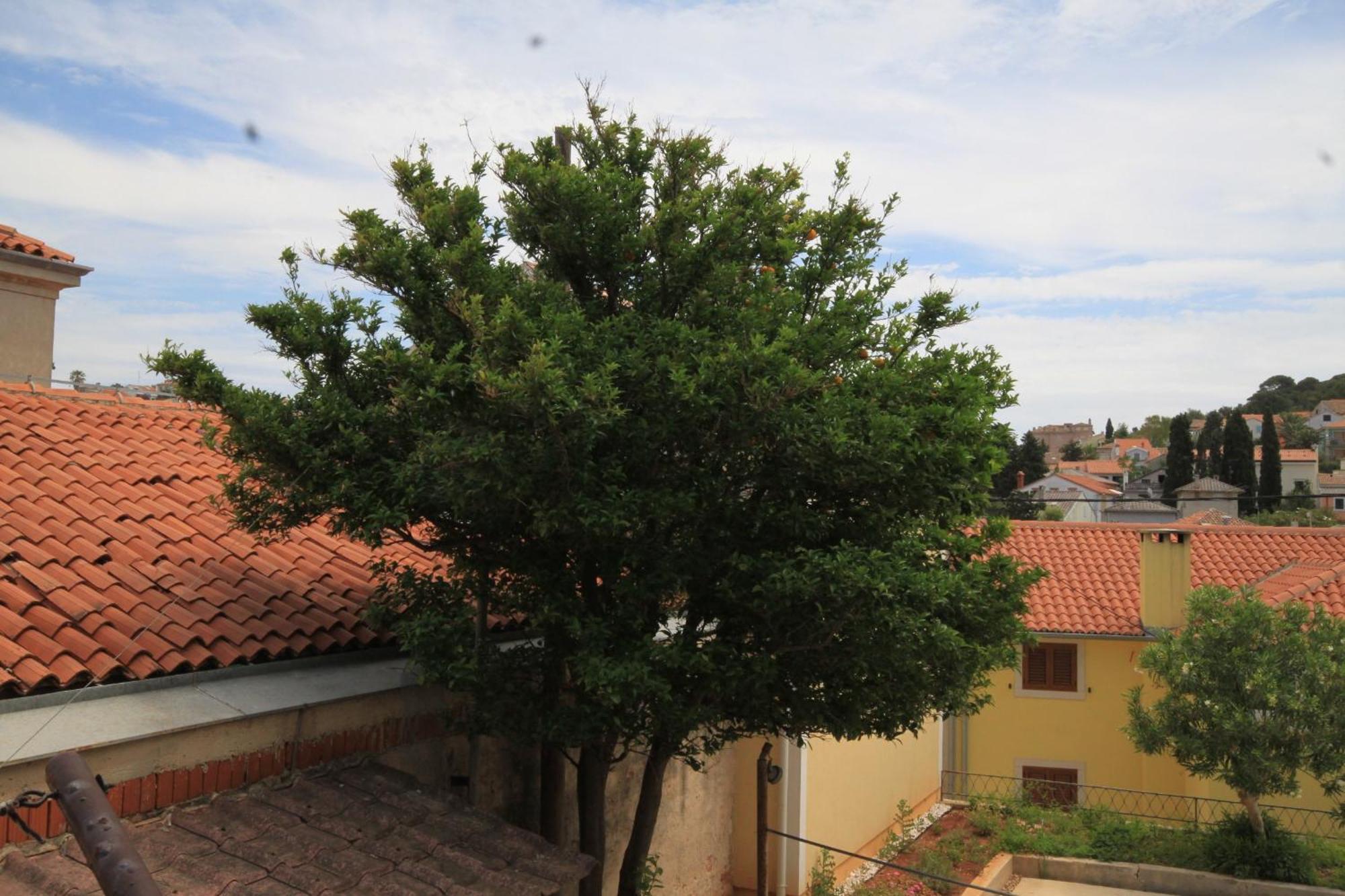 Apartments And Rooms With Parking Space Mali Lošinj Exteriör bild